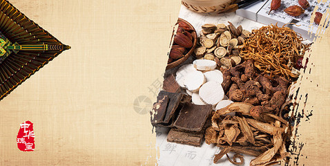 扼殺在搖籃中的嫩芽 從傳統(tǒng)到現(xiàn)代視野下的珍稀中藥材保護(hù)困局